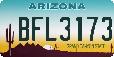 AZ license plate BFL3173