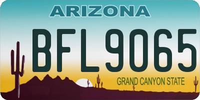 AZ license plate BFL9065