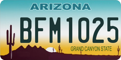AZ license plate BFM1025