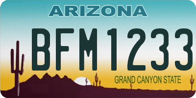 AZ license plate BFM1233