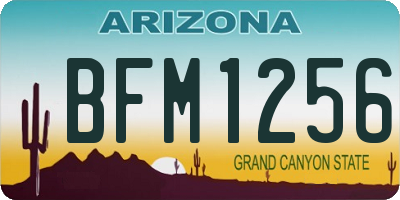 AZ license plate BFM1256