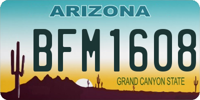 AZ license plate BFM1608