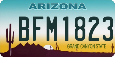 AZ license plate BFM1823