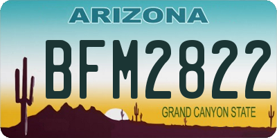 AZ license plate BFM2822