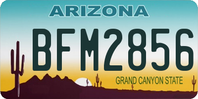 AZ license plate BFM2856