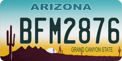 AZ license plate BFM2876
