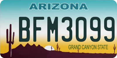 AZ license plate BFM3099
