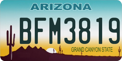 AZ license plate BFM3819