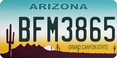 AZ license plate BFM3865