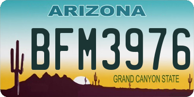 AZ license plate BFM3976