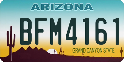 AZ license plate BFM4161
