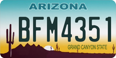 AZ license plate BFM4351
