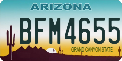 AZ license plate BFM4655
