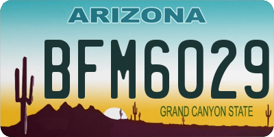 AZ license plate BFM6029