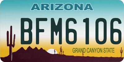 AZ license plate BFM6106