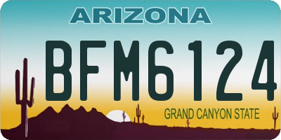 AZ license plate BFM6124