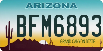 AZ license plate BFM6893
