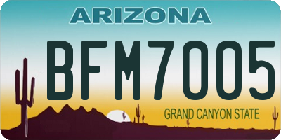AZ license plate BFM7005