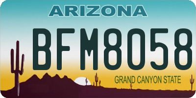 AZ license plate BFM8058