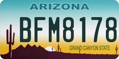 AZ license plate BFM8178