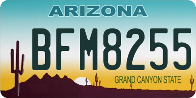 AZ license plate BFM8255
