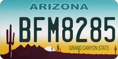 AZ license plate BFM8285