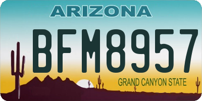 AZ license plate BFM8957