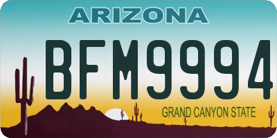 AZ license plate BFM9994