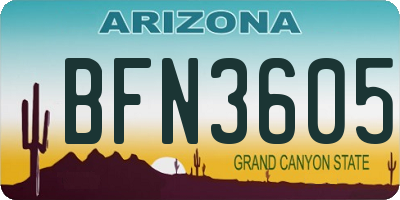 AZ license plate BFN3605