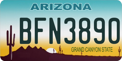 AZ license plate BFN3890