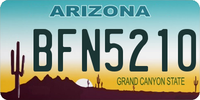 AZ license plate BFN5210