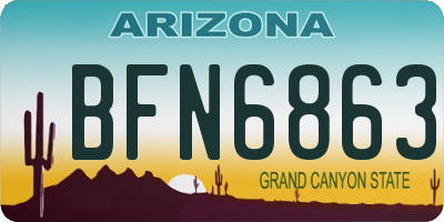 AZ license plate BFN6863
