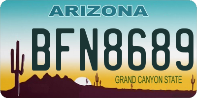 AZ license plate BFN8689