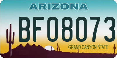 AZ license plate BFO8073
