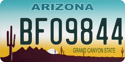AZ license plate BFO9844