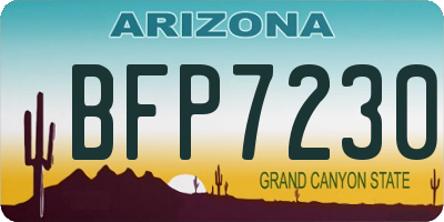 AZ license plate BFP7230