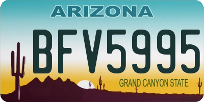 AZ license plate BFV5995