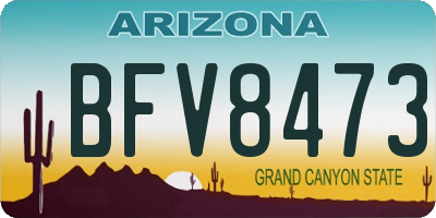 AZ license plate BFV8473