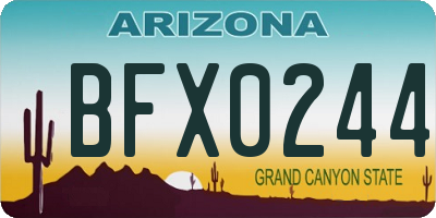 AZ license plate BFX0244
