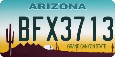 AZ license plate BFX3713