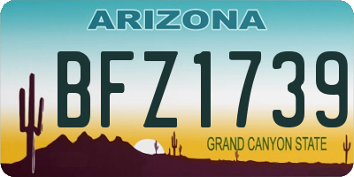 AZ license plate BFZ1739