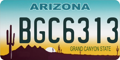 AZ license plate BGC6313