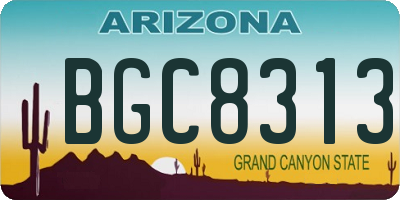 AZ license plate BGC8313