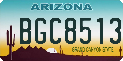 AZ license plate BGC8513