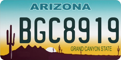 AZ license plate BGC8919