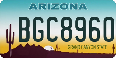 AZ license plate BGC8960