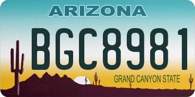 AZ license plate BGC8981