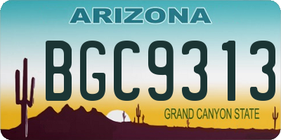 AZ license plate BGC9313