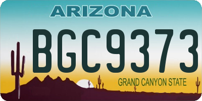 AZ license plate BGC9373