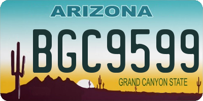 AZ license plate BGC9599